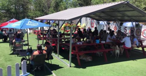 A lively outdoor seating area with people dining at picnic tables, surrounded by dogs and colorful umbrellas.