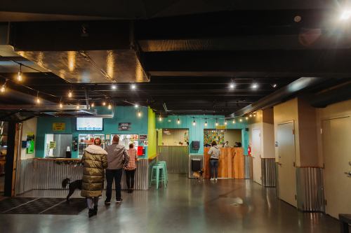 A modern indoor space with people at a counter, a dog, and colorful decor under warm lighting.