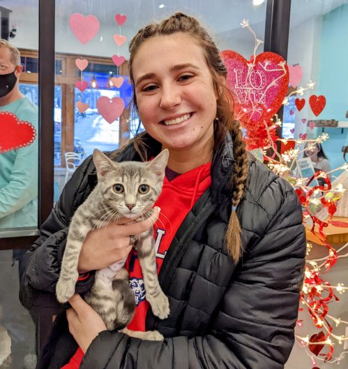 A smiling young woman holds a gray tabby cat in a festive setting with heart decorations.