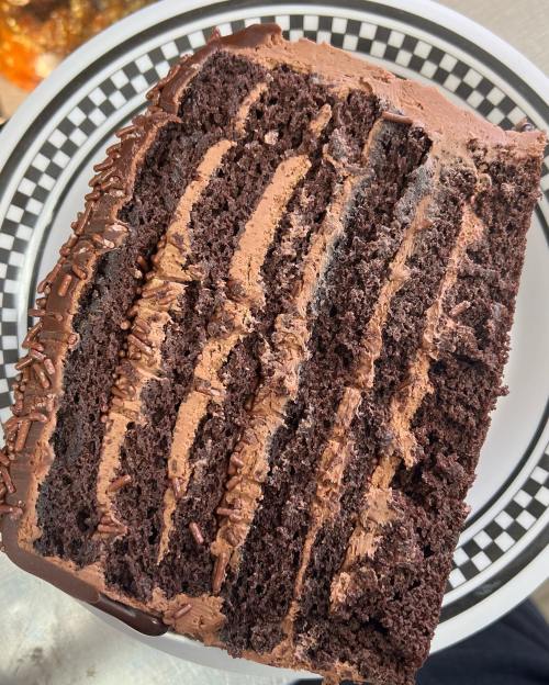 A slice of rich chocolate cake with layers of chocolate frosting and chocolate sprinkles on a patterned plate.