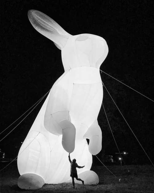 A child stands beneath a large, illuminated rabbit sculpture at night, with its ears perked up and a playful pose.
