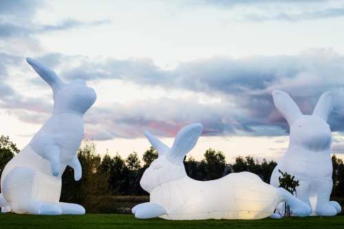 Three large, inflatable white rabbits are displayed outdoors against a cloudy sky.