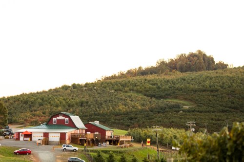 A red barn with a green roof sits at the base of a hill covered in trees, with cars parked nearby.