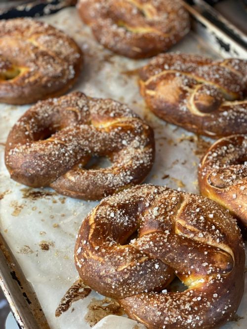Freshly baked pretzels sprinkled with coarse salt on a parchment-lined baking sheet.