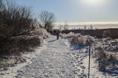 A snowy path leads to a city skyline in the distance, with trees and bushes lining the sides.