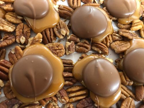 Close-up of chocolate-covered caramel candies atop a bed of pecans.