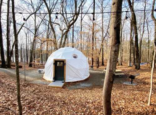 A white geodesic dome cabin in a wooded area with fallen leaves, picnic table, and string lights in the background.