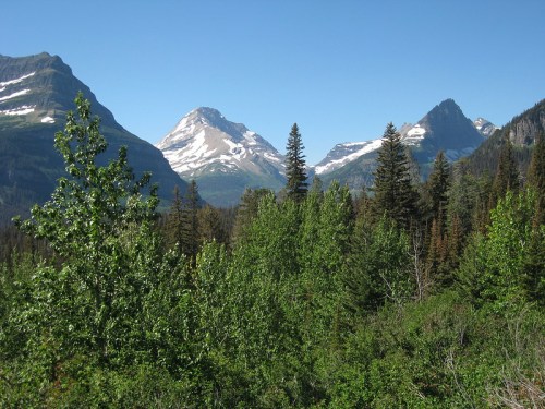 A scenic view of snow-capped mountains surrounded by lush green trees under a clear blue sky.
