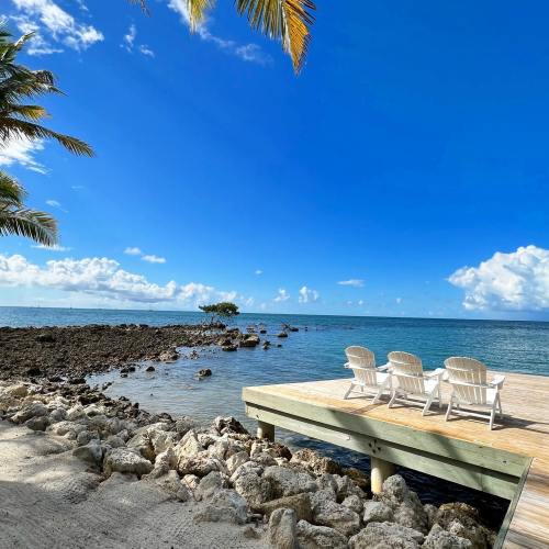 A serene beach scene with palm trees, a wooden deck, and calm blue waters under a clear sky.