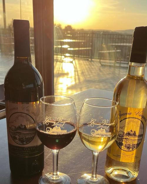 Two wine bottles and glasses of red and white wine, with a sunset reflecting in the background.