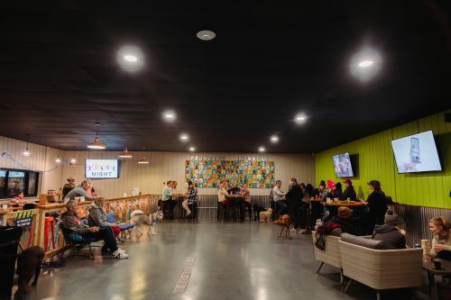 A lively indoor space with people socializing, dogs around, and colorful wall art, featuring seating and screens.