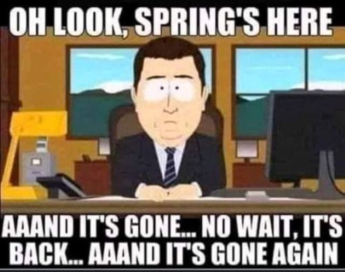 A character from a cartoon sits at a desk, expressing frustration about the fleeting nature of spring.