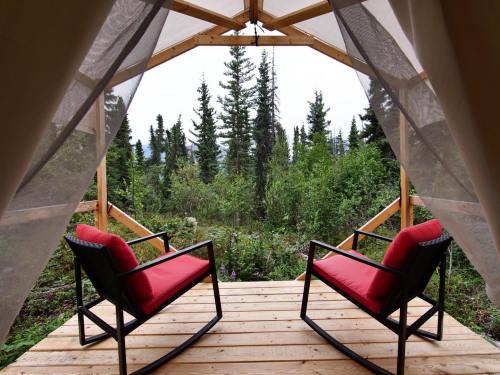 View from a cozy cabin porch with two red chairs overlooking a lush forest of tall trees.