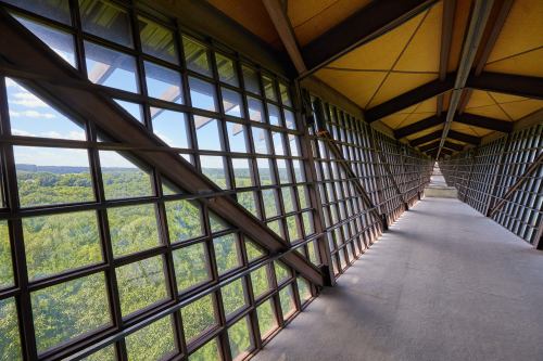 A spacious corridor with large windows, offering a view of lush greenery and blue skies outside.