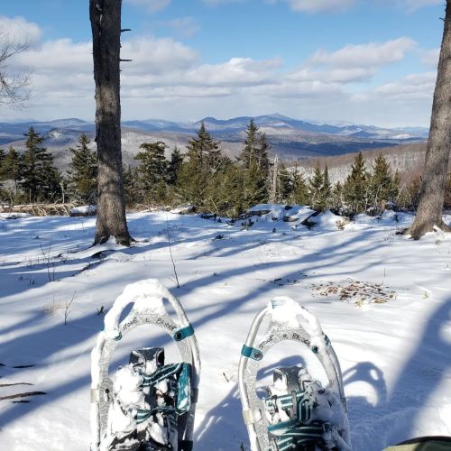 Snow-covered landscape with snowshoes in the foreground, trees and distant mountains under a clear blue sky.