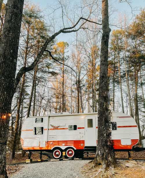 A vintage camper parked among tall trees in a serene forest setting during golden hour.