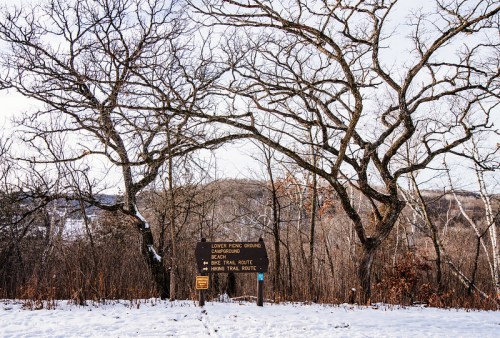 A snowy landscape with bare trees and a sign for hiking trails in a wooded area.