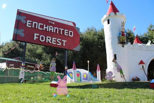 A whimsical playground with a castle, colorful decorations, and a sign reading "The Enchanted Forest."