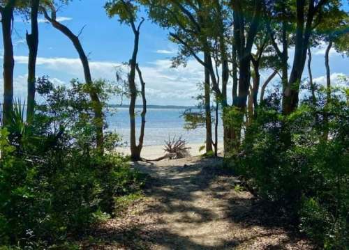 A sandy path leads to a serene beach framed by trees and lush greenery under a bright blue sky.