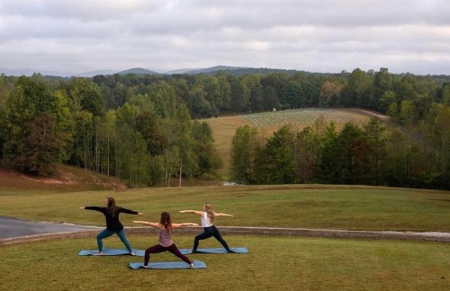 Three women practice yoga in warrior pose on mats, set against a scenic landscape of rolling hills and trees.