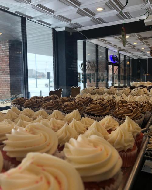 A display of various cupcakes with swirled frosting, viewed from a close angle, in a bright café setting.