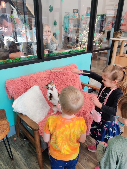 Children interact with a cat on a cozy chair, while a person watches from behind a glass window.