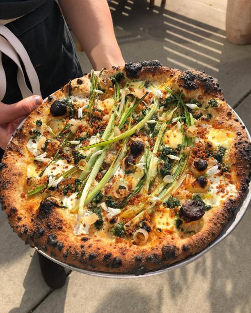 A person holds a freshly baked pizza topped with green onions, herbs, and crispy bits, featuring a charred crust.