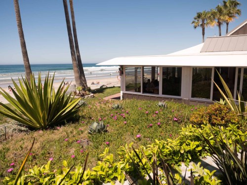 A beachside view featuring palm trees, colorful plants, and a modern building overlooking the ocean.