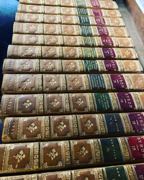 A row of antique leather-bound books with ornate spines in various colors, arranged neatly on a shelf.