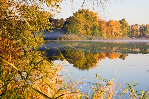 A serene lake surrounded by trees with autumn foliage, reflecting the colorful landscape in calm waters.