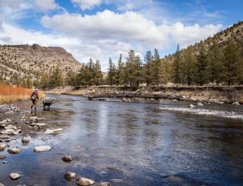 A person wades through a rocky river surrounded by trees and mountains under a partly cloudy sky.