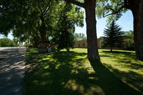 A sunny park scene with trees, a gazebo, and a grassy area beside a road and a building in the background.