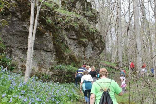 A group of people hiking up a trail beside a rocky cliff, surrounded by trees and blooming blue flowers.