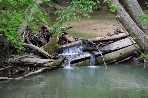 A serene stream flows over fallen logs, surrounded by lush green foliage and calm water.
