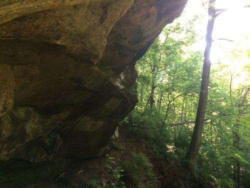 A rocky overhang surrounded by lush green trees and sunlight filtering through the foliage.