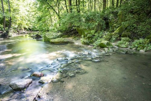 A serene river flows through a lush green forest, with smooth stones and gentle ripples in the water.