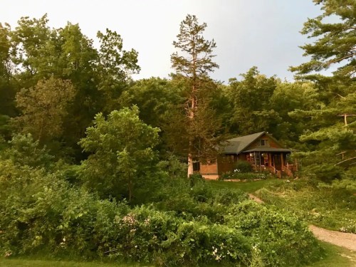 A cozy wooden house surrounded by lush greenery and trees, set against a serene natural landscape.