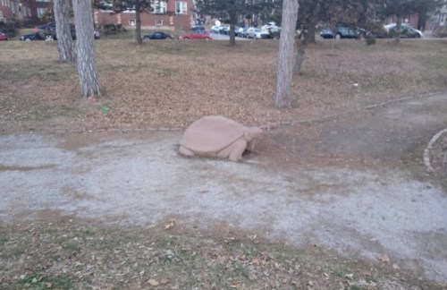 A large turtle sculpture on a gravel path in a park, surrounded by grass and trees.