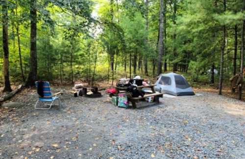 A campsite in a wooded area featuring a tent, picnic table, chairs, and a fire pit surrounded by trees.