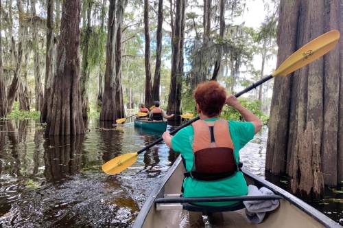 A person paddles a kayak through a serene, tree-lined waterway, surrounded by lush greenery and cypress trees.