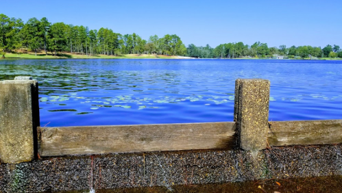 A serene lake view with calm blue water, surrounded by green trees and a wooden barrier in the foreground.