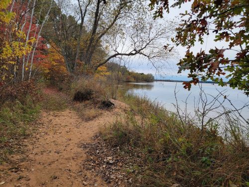 A sandy path along a lake, surrounded by autumn foliage and trees, with calm water reflecting the cloudy sky.