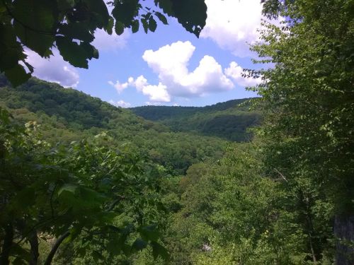 Lush green hills under a blue sky with fluffy clouds, framed by trees in the foreground.