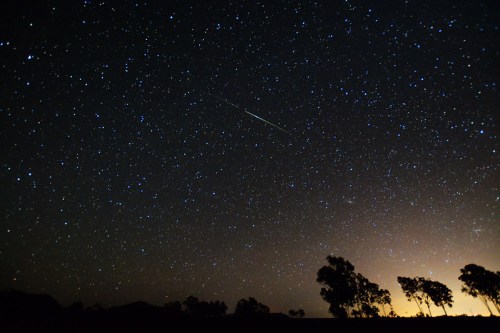 A starry night sky filled with twinkling stars and a faint glow on the horizon, with silhouettes of trees in the foreground.