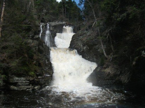 A cascading waterfall flows down rocky cliffs, surrounded by lush green trees and a clear blue sky.