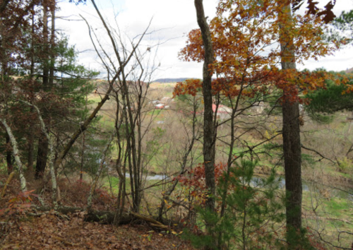 A scenic view of a valley with trees in autumn colors and a winding river below, under a partly cloudy sky.