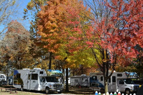 Two RVs parked under vibrant autumn trees with colorful leaves in a sunny park setting.