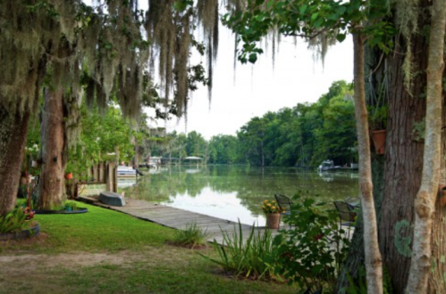A serene river scene with moss-covered trees, a wooden dock, and boats in the distance, surrounded by lush greenery.