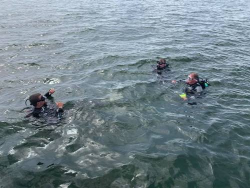Three divers in wetsuits are swimming in the water, surrounded by gentle waves.