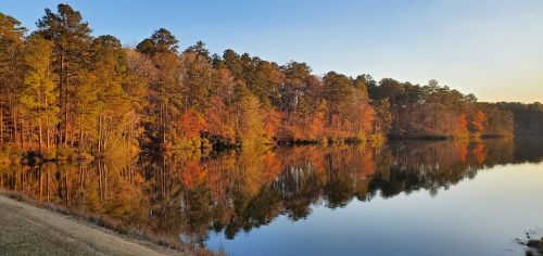 A serene lake surrounded by trees displaying vibrant autumn colors, reflecting on the calm water under a clear sky.